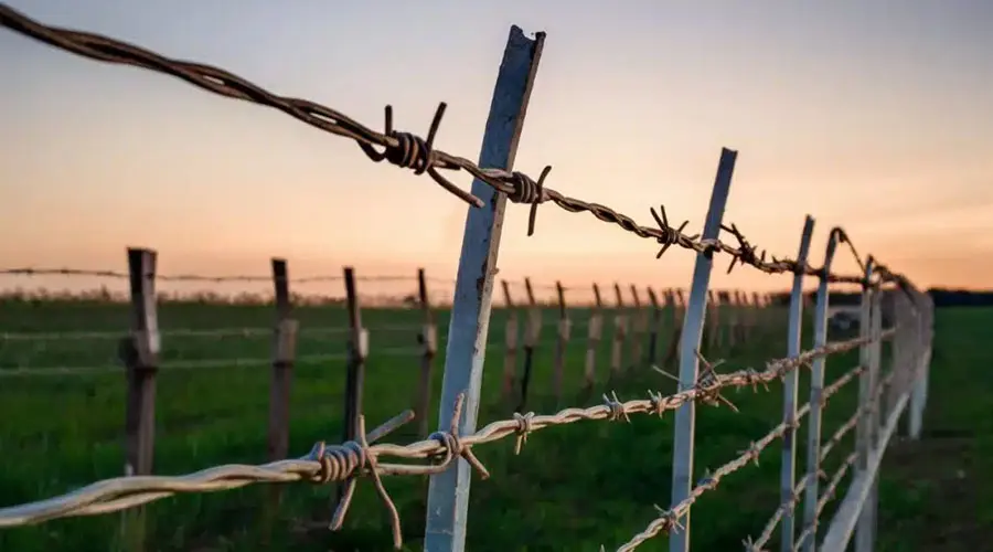 Barbed Wire Fencing in Goa: Current Prices, Top Manufacturers & Trusted Suppliers